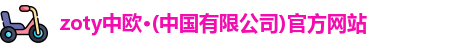 大同市深特发展集团有限责任公司